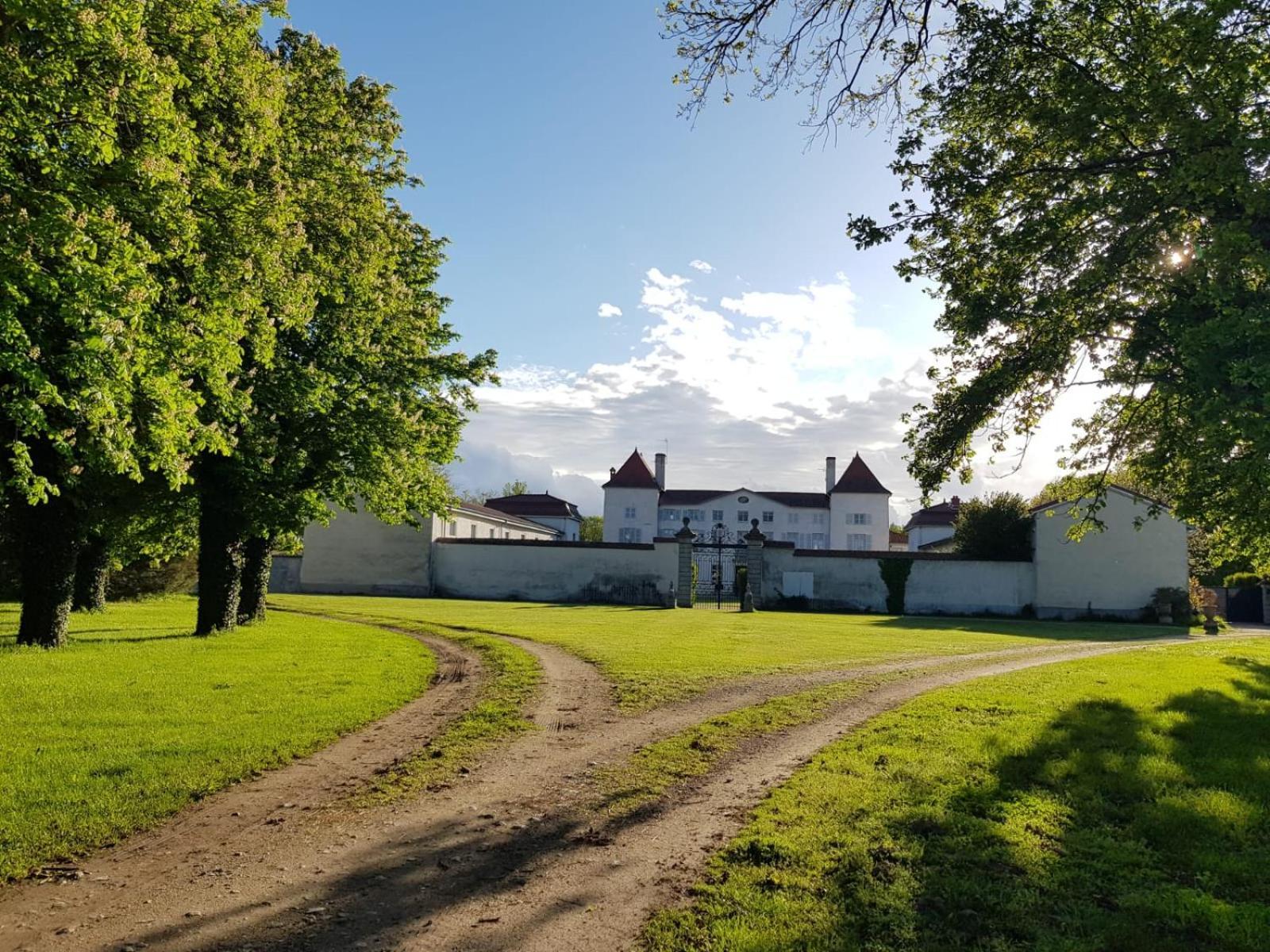 Chateau Des Perichons Poncins Exterior photo